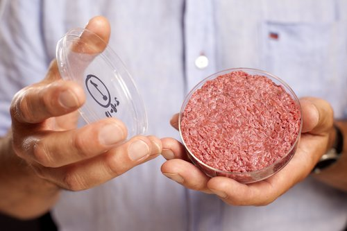 Thousands of individual muscle fibres combine to form a humble hamburger