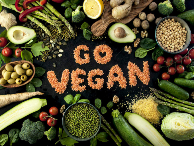 Top Innovative Vegan Startups You Need to Know About