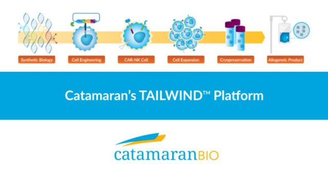 Catamaran Bio secures US$ 42 million Series A financing