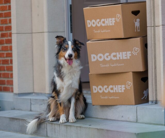 Belgium based Dog Chef secures €1 million investment for its tailor made dog food platform