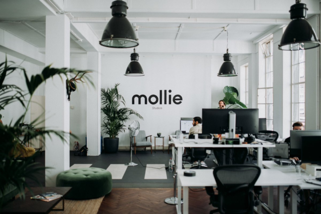 Fintech startup Mollie