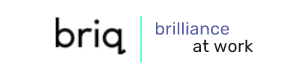 image of briq logo